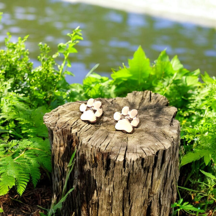 Hypoalergenní náušnice tlapka nerez