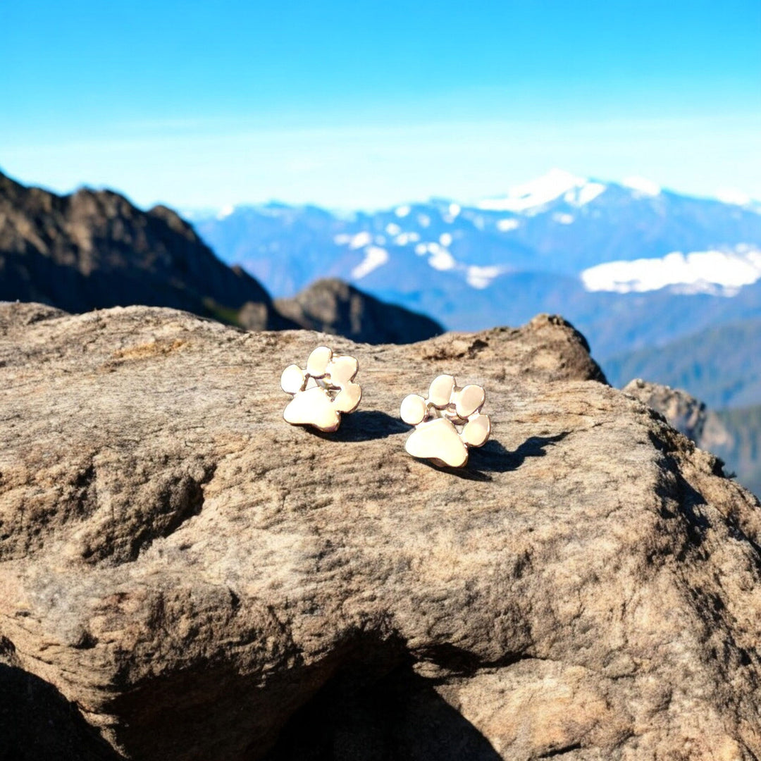Hypoalergenní náušnice tlapka nerez